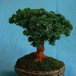 Easy DIY Paper Tree
