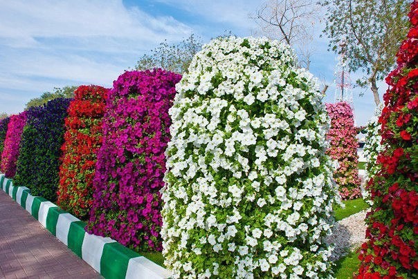 HOW TO MAKE FLOWER TOWER GARDEN HOW TO MAKE FLOWER TOWER GARDEN
