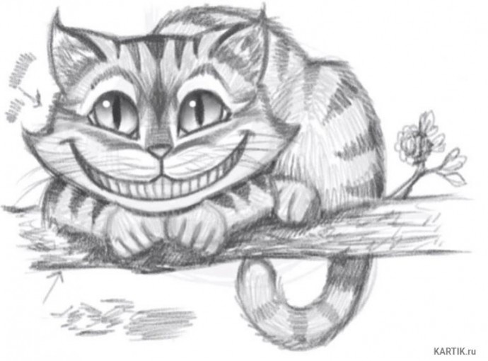 How to draw the Cheshire Cat How to draw the Cheshire Cat