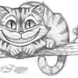 How to draw the Cheshire Cat