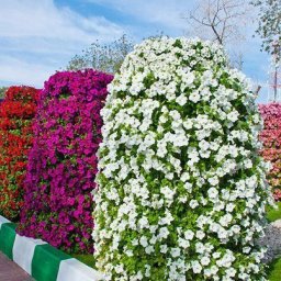 HOW TO MAKE FLOWER TOWER GARDEN
