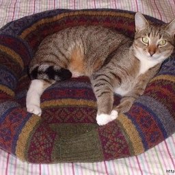 How to Recycle a Sweater into a Pet Bed