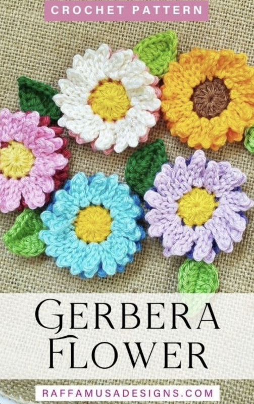 Beautiful Gerbera Flower
